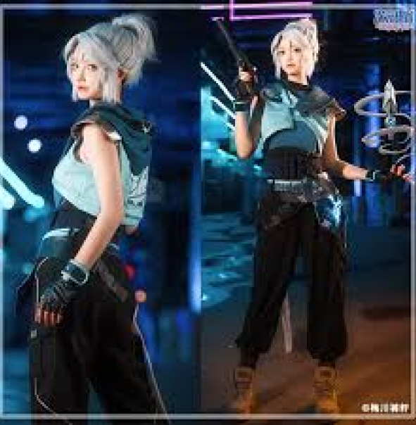 公司服务